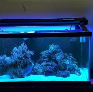 Meet your Posher, Sergio